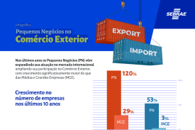 Pequenos Negócios no Comércio Exterior