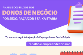 Análise dos Fluxos de Negócio por Sexo, Raça/Cor e Faixa Etária