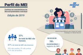 Perfil do MEI