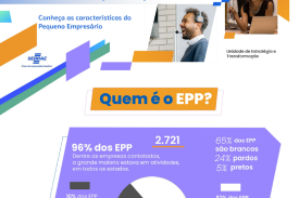 Perfil do Dono de Pequena Empresa