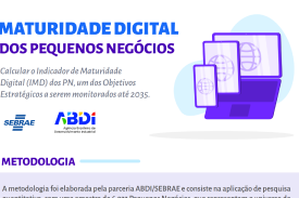 Maturidade Digital dos Pequenos Negócios